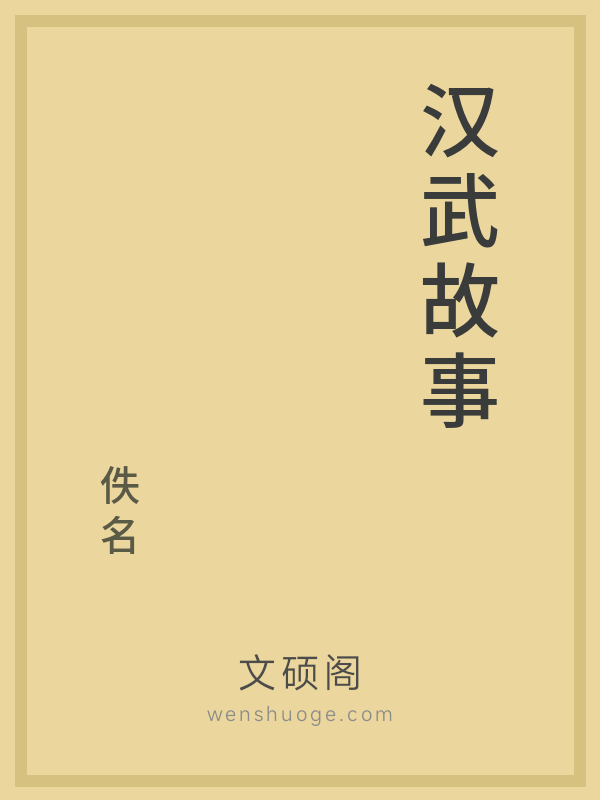 汉武故事的书籍封面