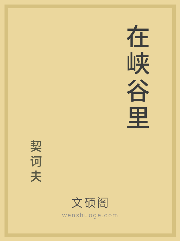 在峡谷里
