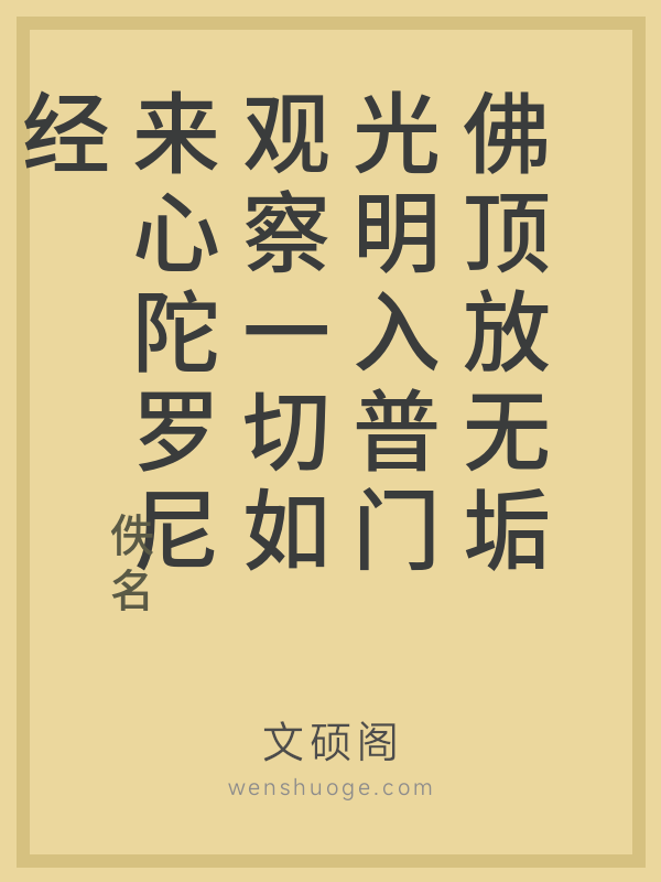 佛顶放无垢光明入普门观察一切如来心陀罗尼经