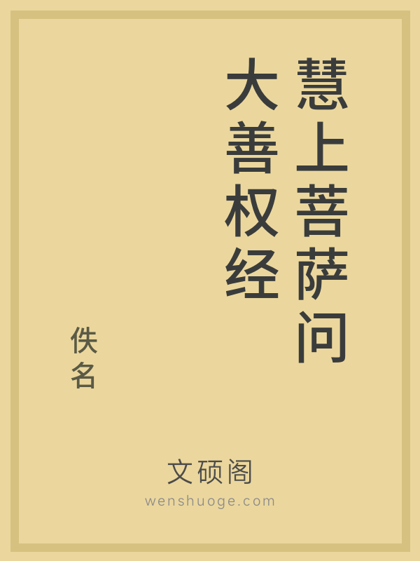 慧上菩萨问大善权经