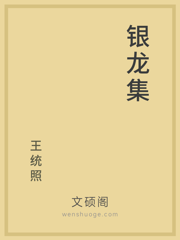 银龙集