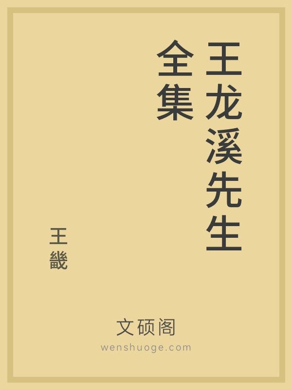 王龙溪先生全集