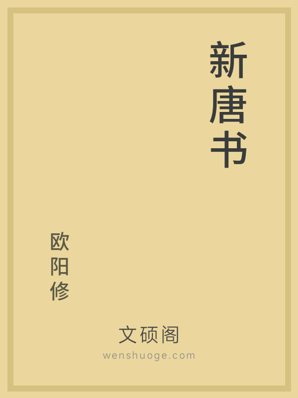 新唐书的书籍封面