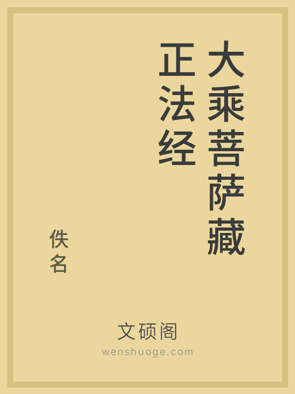 大乘菩萨藏正法经的书籍封面