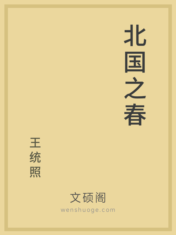 北国之春的书籍封面